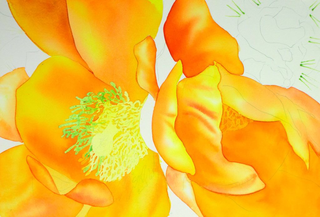 Watercolor flower painting: use layers of color 