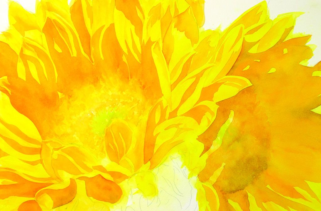 Sunflower watercolor flower painting--shadows