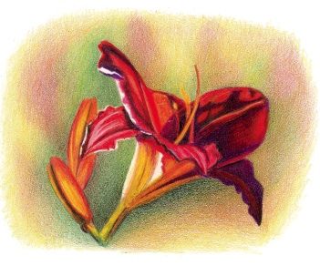 Handmade Beautiful Hummingbird in Crayon multi media art Spiral Notebook by  Misty Clark - Fine Art America