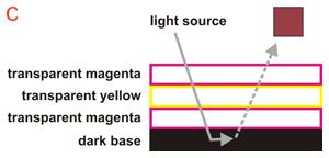 Transparent and Opaque Colors: How We Perceive Them