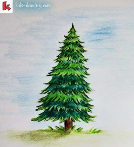 How to draw trees: Conifers by landscape drawing artist Claudia Nice