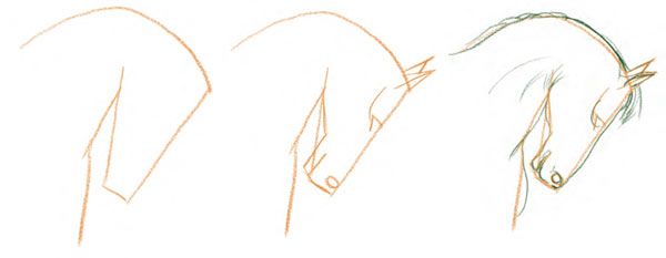 How to Draw Horses with Easy Step by Step Drawing Lessons  How to Draw  Step by Step Drawing Tutorials