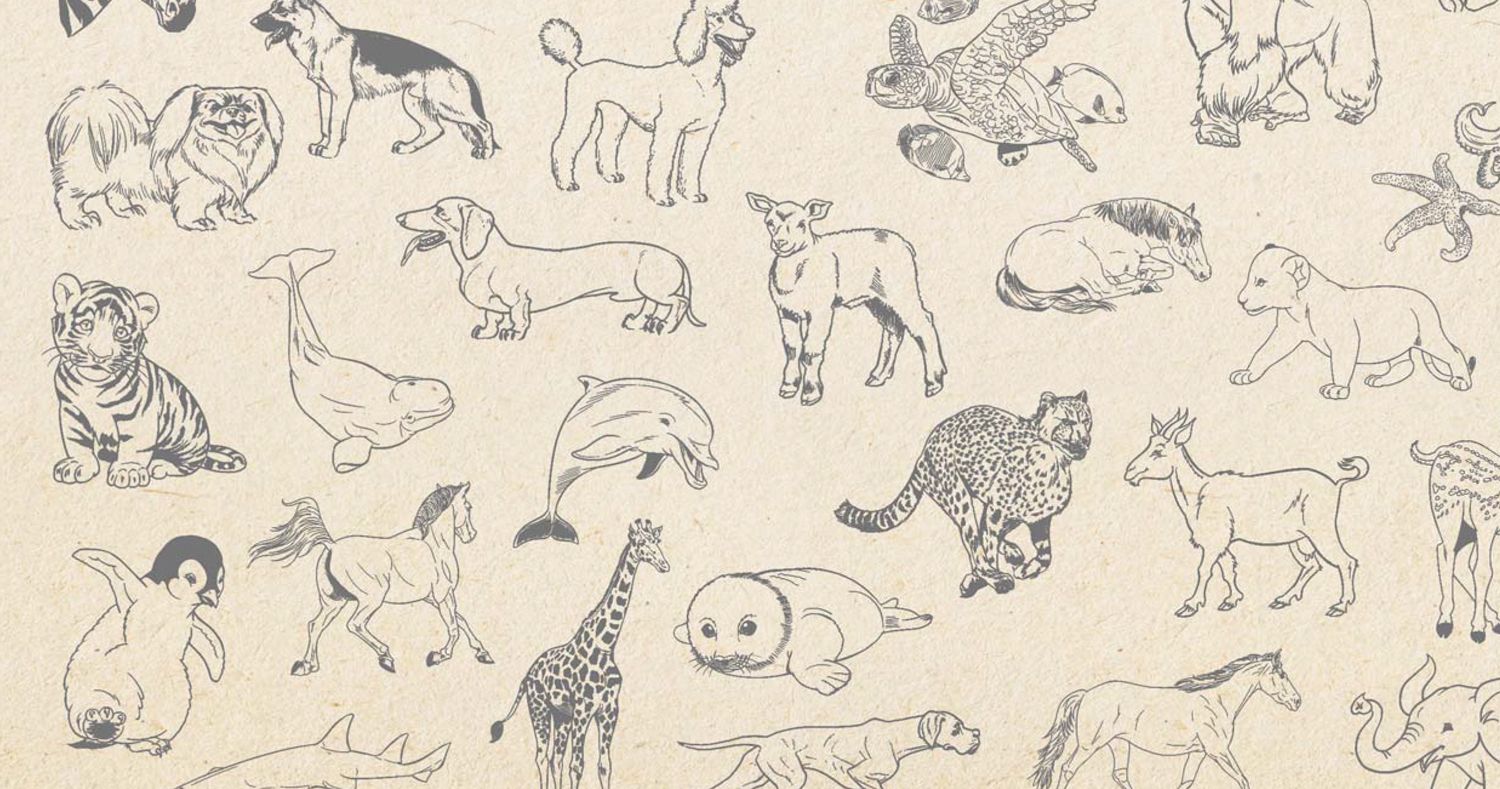 Leopard skin hand drawn. animal print drawing. Seamless Pattern. Vector  Illustration. 2479851 Vector Art at Vecteezy