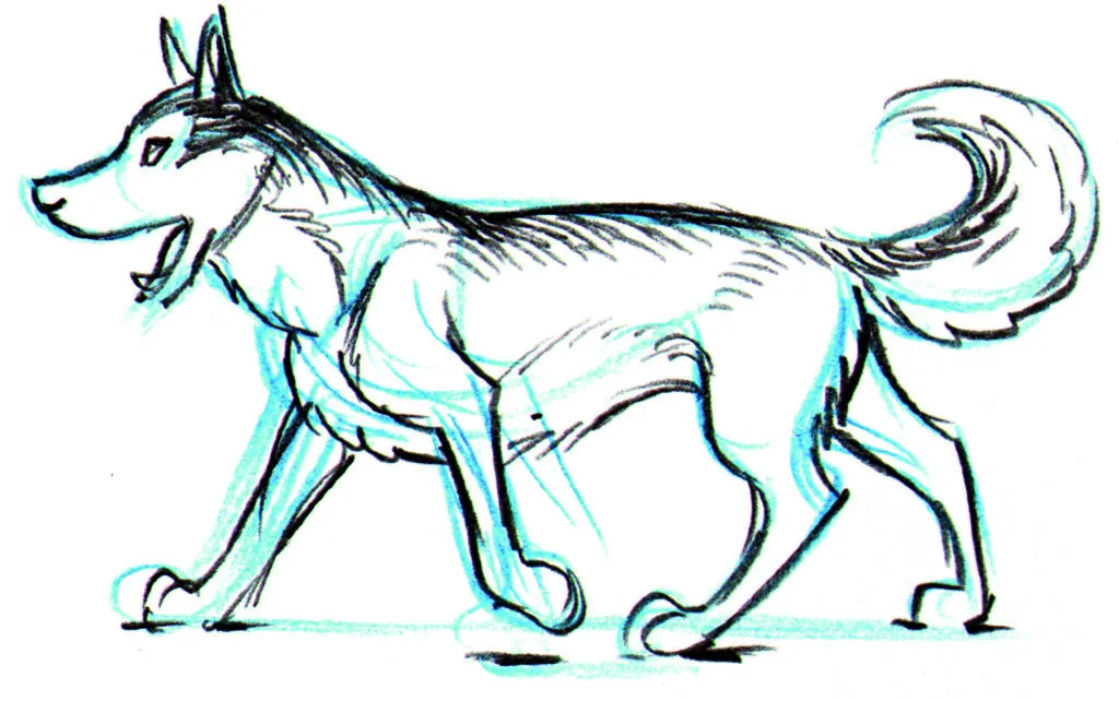 How to draw animals DogIntro_9 copy