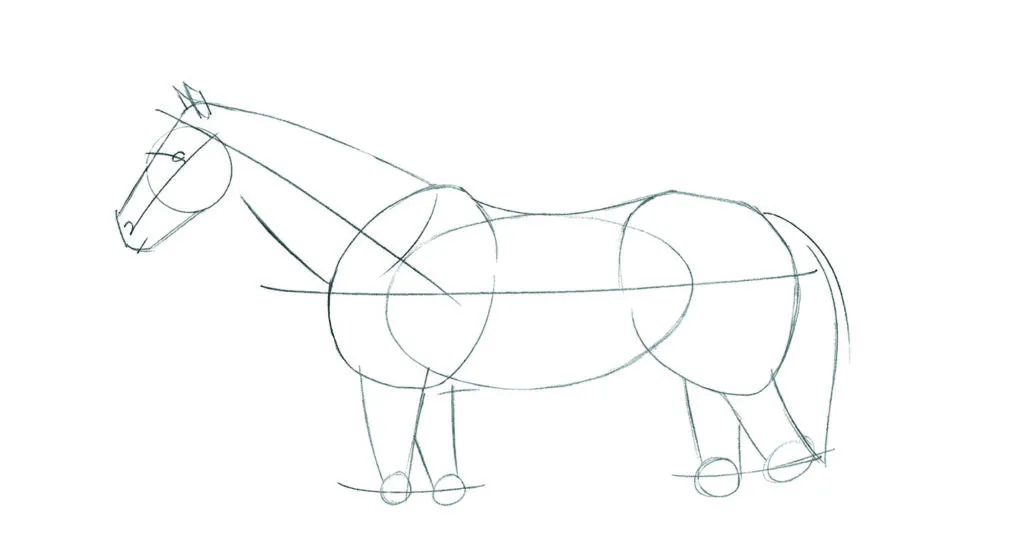 How to draw animals: HorseIntro_Standing4 copy
