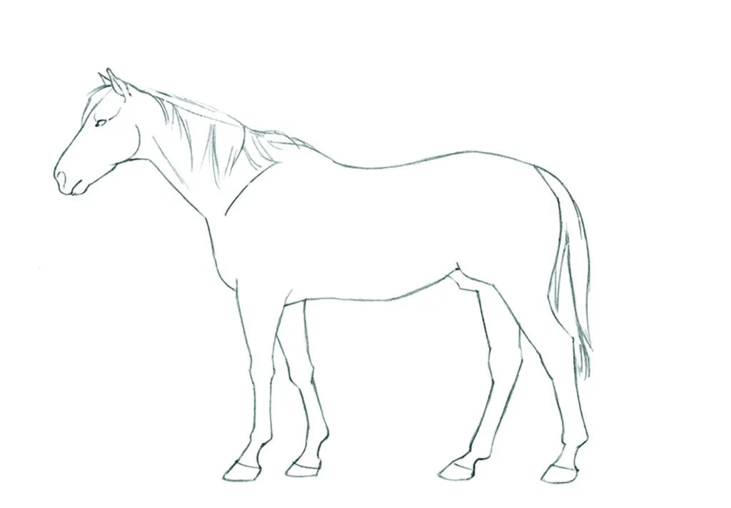 How to draw animals: HorseIntro_Standing6 copy