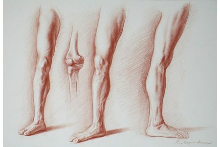 human legs vector sketch 16776852 Vector Art at Vecteezy
