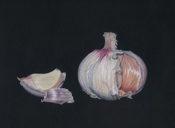Still Life 4 – Still Life with Natural Objects | Smig van Basterd – an  artist in progress.