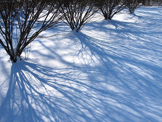 Follow These Essential Guidelines to Paint Snow Like a Pro