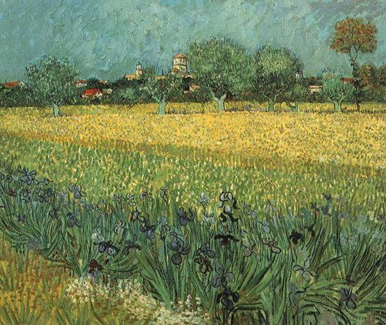 Van Gogh'S Yellow | Artists Network