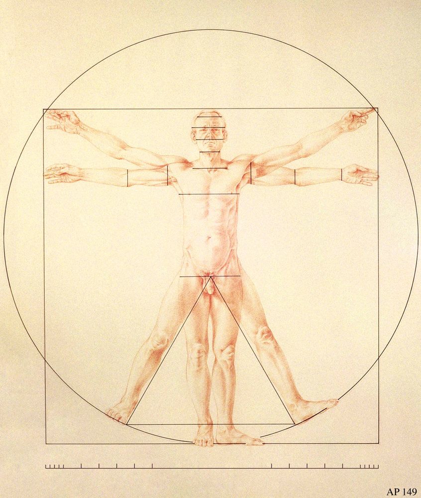What You Need To Know About Leonardos Vitruvian Man  Widewalls