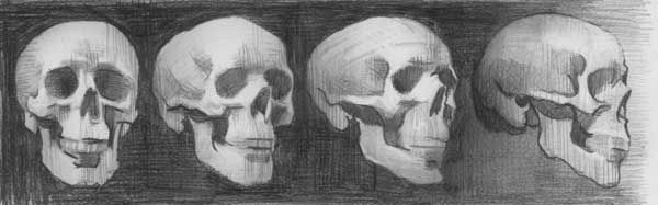 Some (mostly) recent paintings, including a skull study, a still
