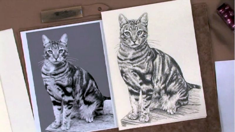 Animal doodles set cute animals sketch hand drawn Vector Image