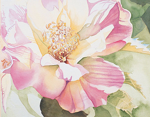 Watercolor Painting Demonstration: Painting Petals