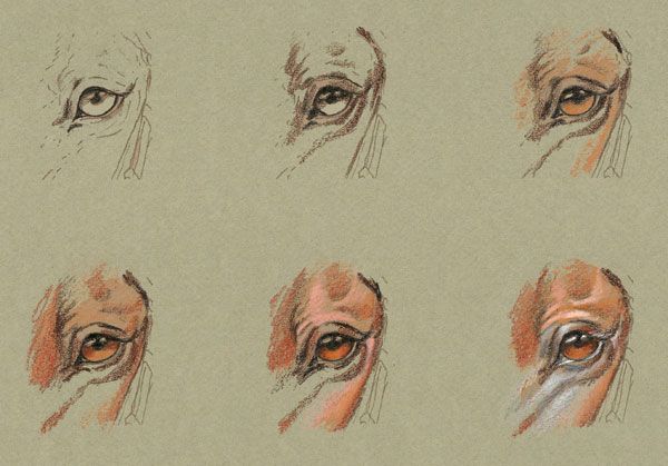 https://s32625.pcdn.co/wp-content/uploads/2015/10/how-to-draw-a-horse-colored-pencil-techniques.jpg.optimal.jpg