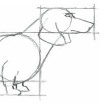 How to Draw a Dog: A Mini-Demonstration