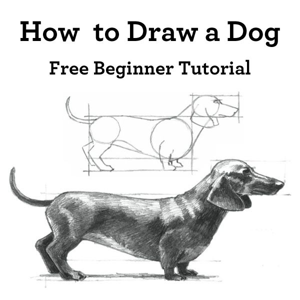 Draw Simple Dog. Easy Dog Drawing. Dog Draw Easy Steps. How To Draw A Dog  Simple Drawing For kids. - YouTube