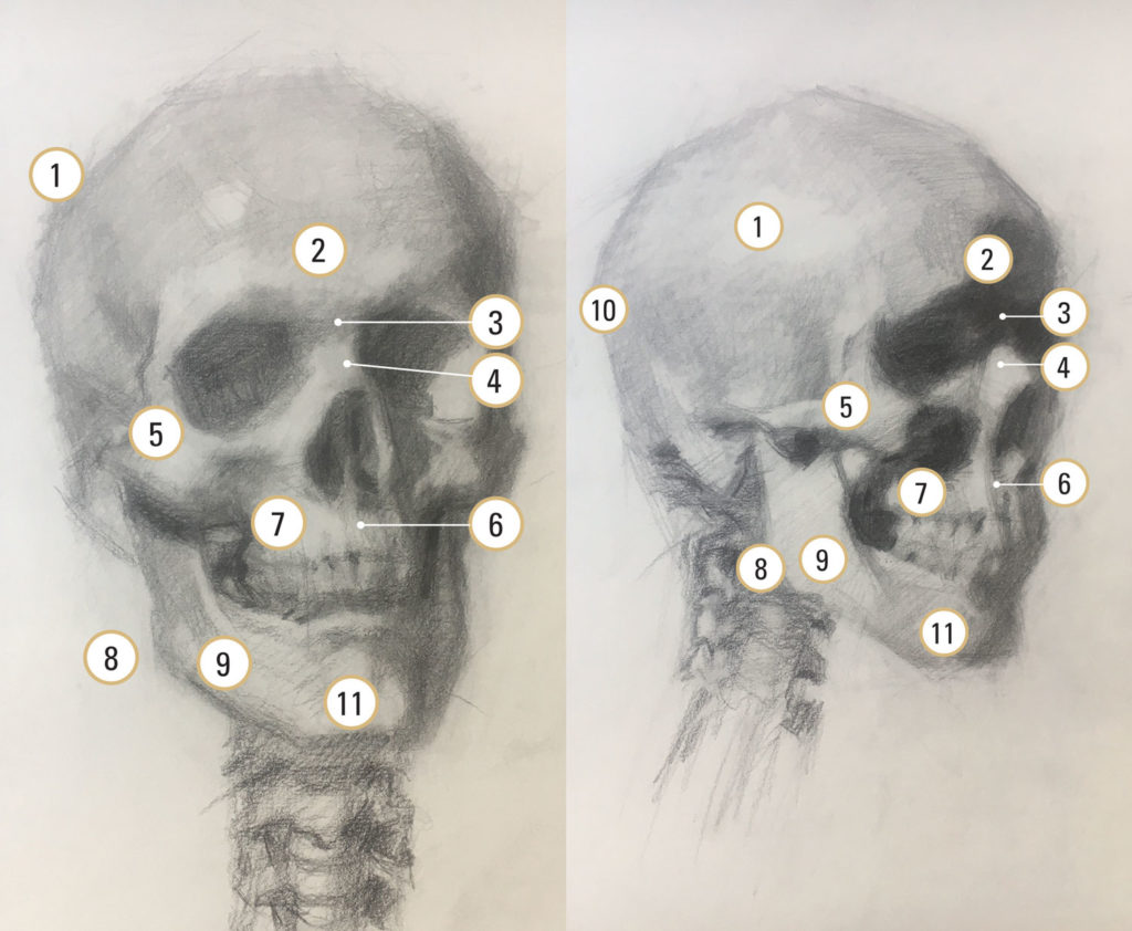 How to draw bodies -- Lea Colie Wight