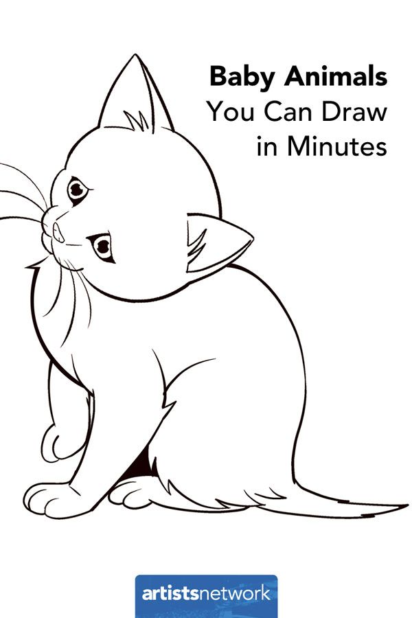 Perfect for Beginners: How to Draw Easy Animals | Artists Network