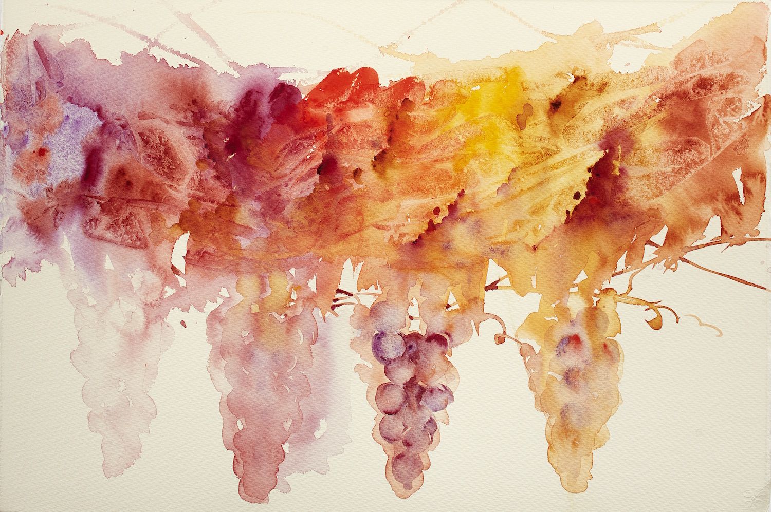 100 Easy watercolor paintings to fill your time with