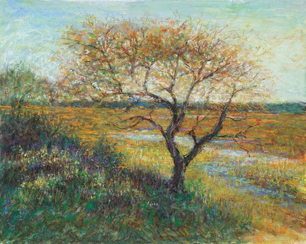 Fall Trees | Pastel Artist | Tom Bailey | Artists Network
