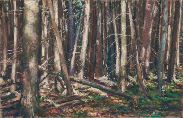 Fall Trees | Pastel Artist | Susan M. Story | Artists Network