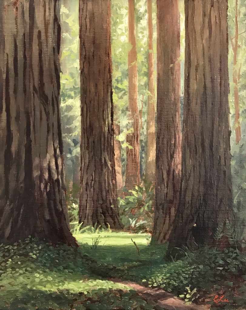 Redwood Forrest an Original Oil in full color on 24x18x1 canvas