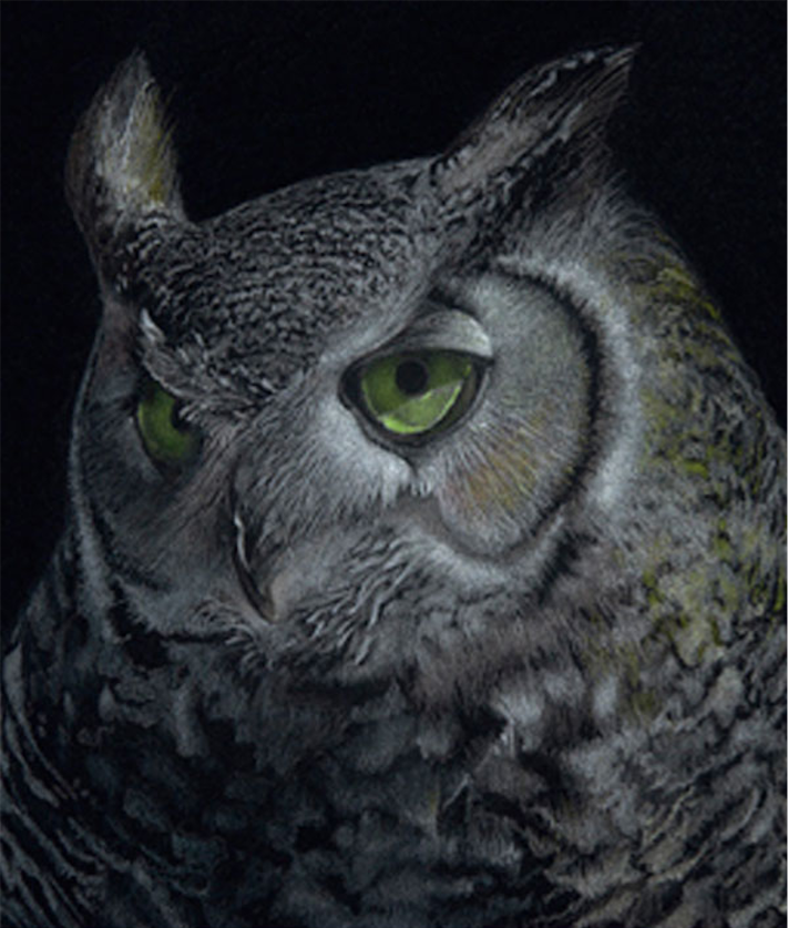 https://s32625.pcdn.co/wp-content/uploads/2017/10/Night-Owl_Colored-Pencil-Techniques_Janie-Gildow_Artists-Network.png