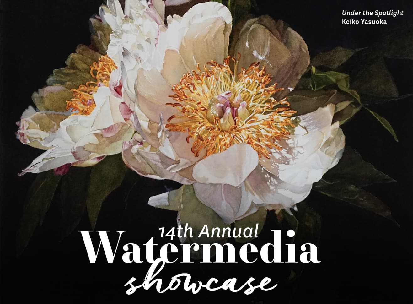 Watermedia Showcase