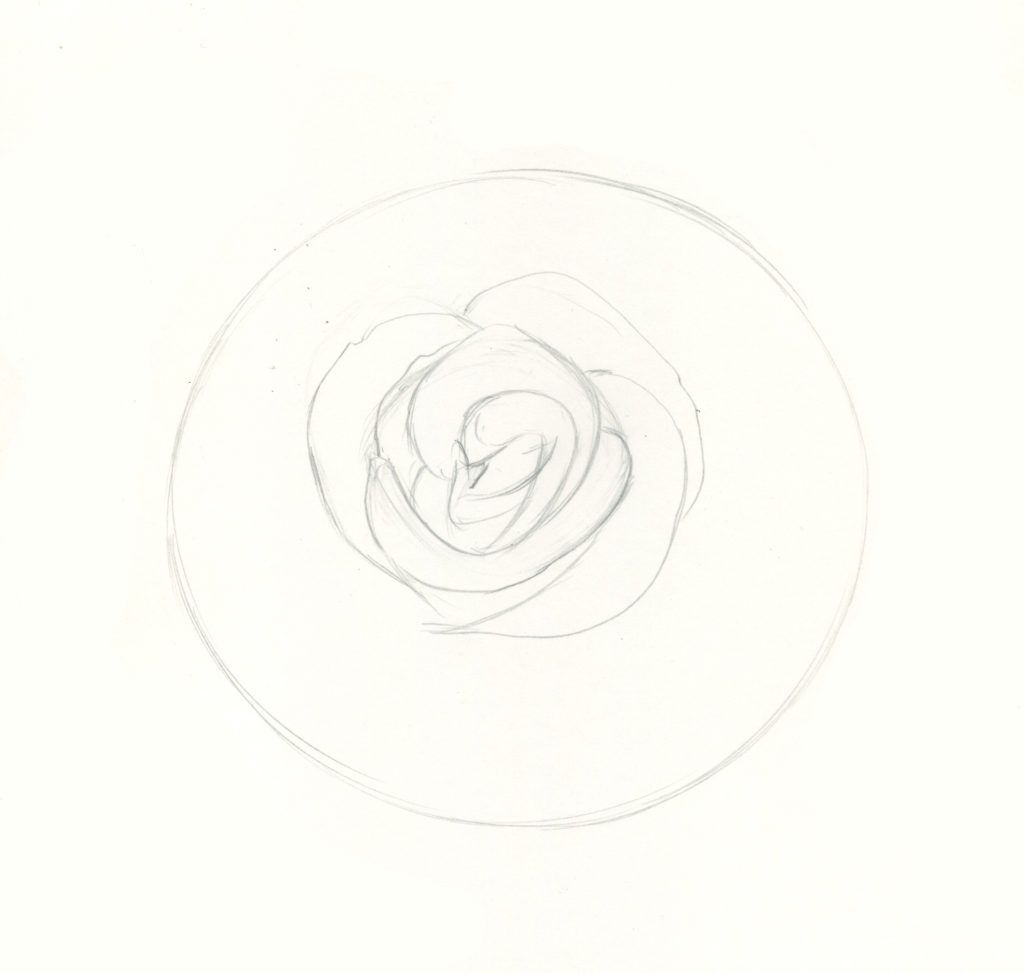 How to Draw Roses | An Easy and Complete Step-by-Step Drawing Demo