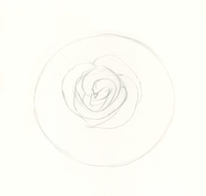 How to Draw Roses | An Easy and Complete Step-by-Step Drawing Demo