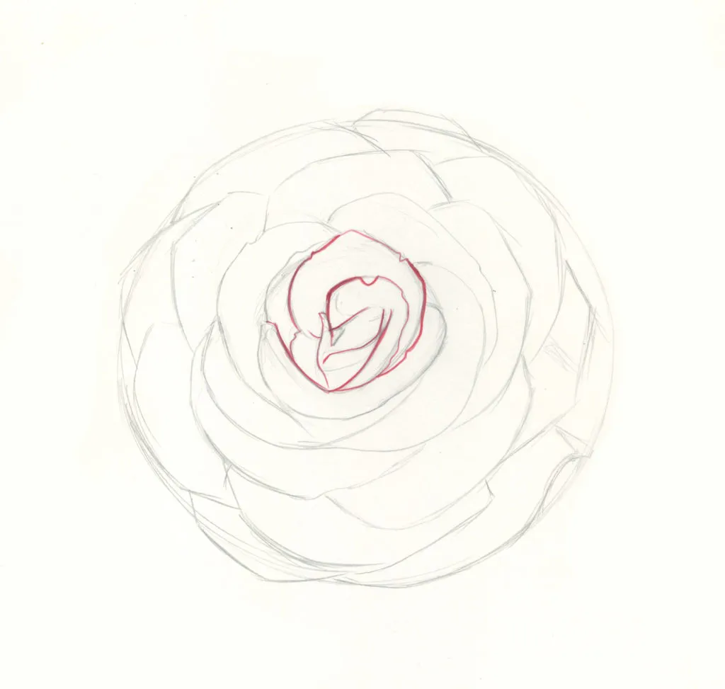 how to draw roses step 6