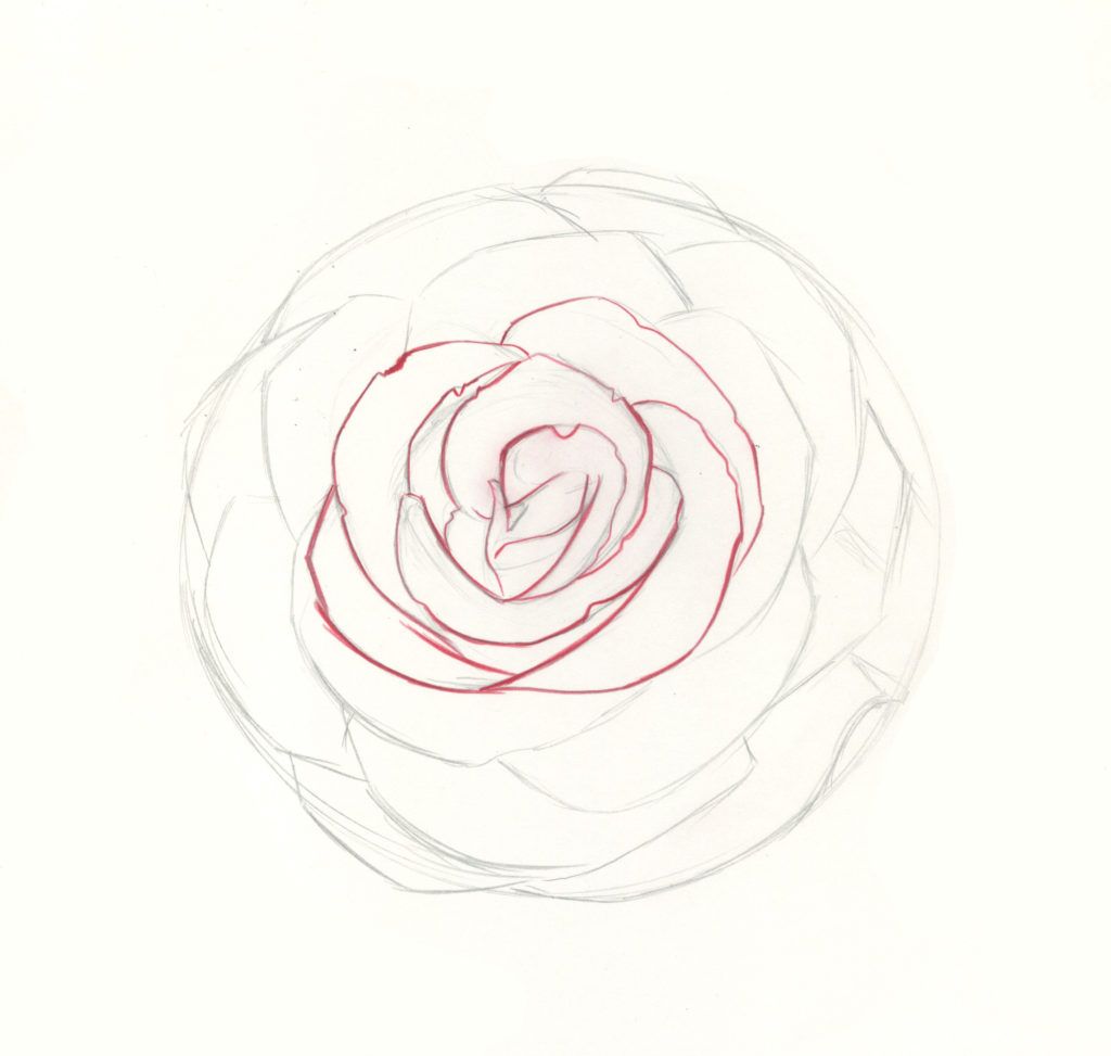 How to Draw Roses | An Easy and Complete Step-by-Step Drawing Demo