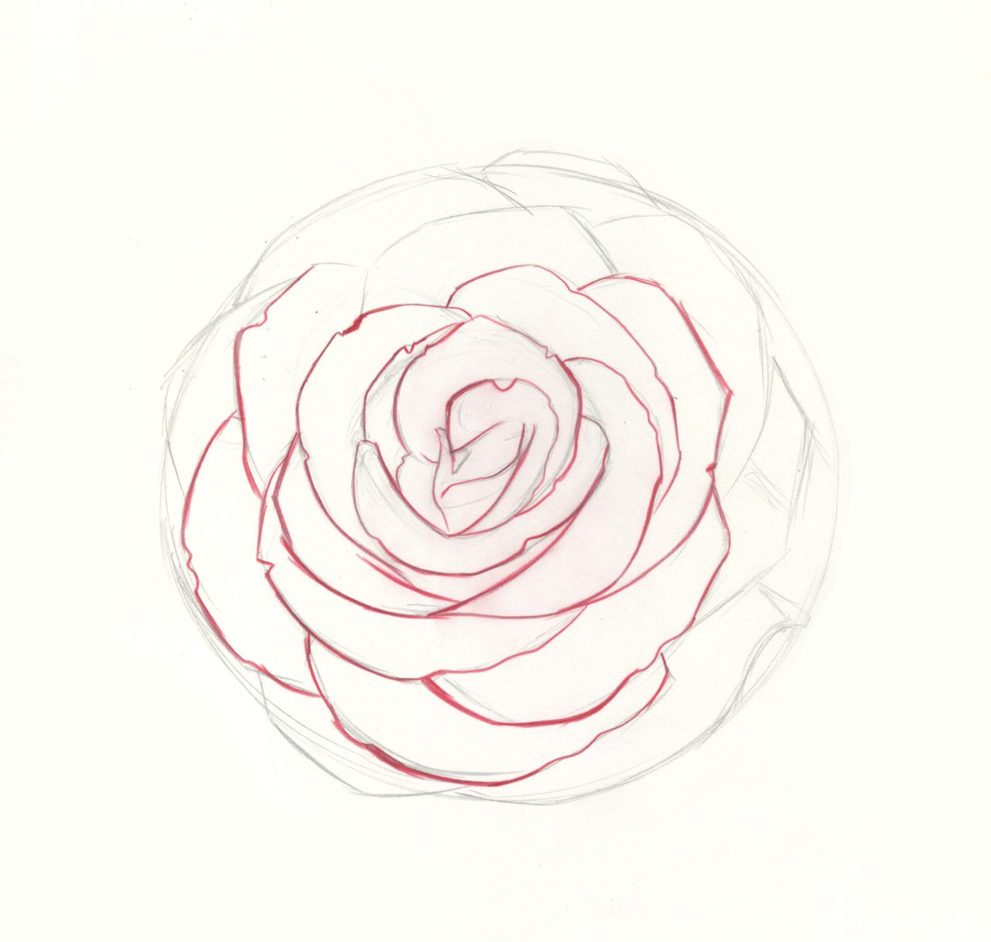How to Draw Roses | An Easy and Complete Step-by-Step Guide