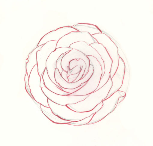 How to Draw Roses | An Easy and Complete Step-by-Step Drawing Demo