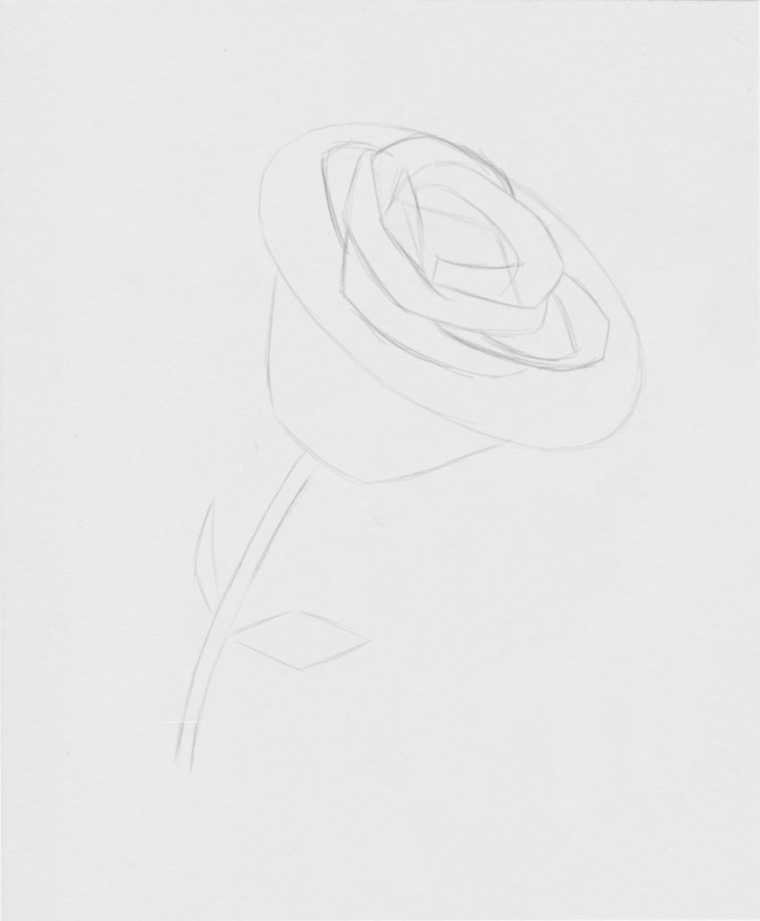 How to draw beautiful Roses for a Still Life