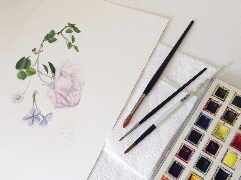 Watercolor Flowers: A Beginner's Guide to Loose Painting, Altea  Alessandroni