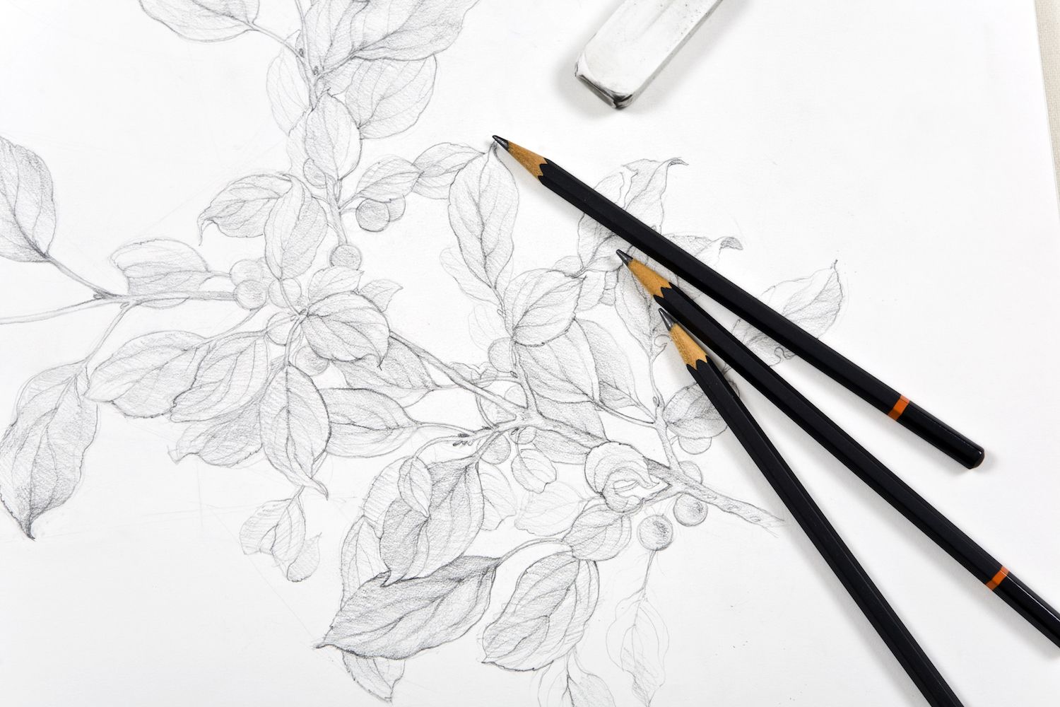 Graphite Pencil Drawing Basics 101