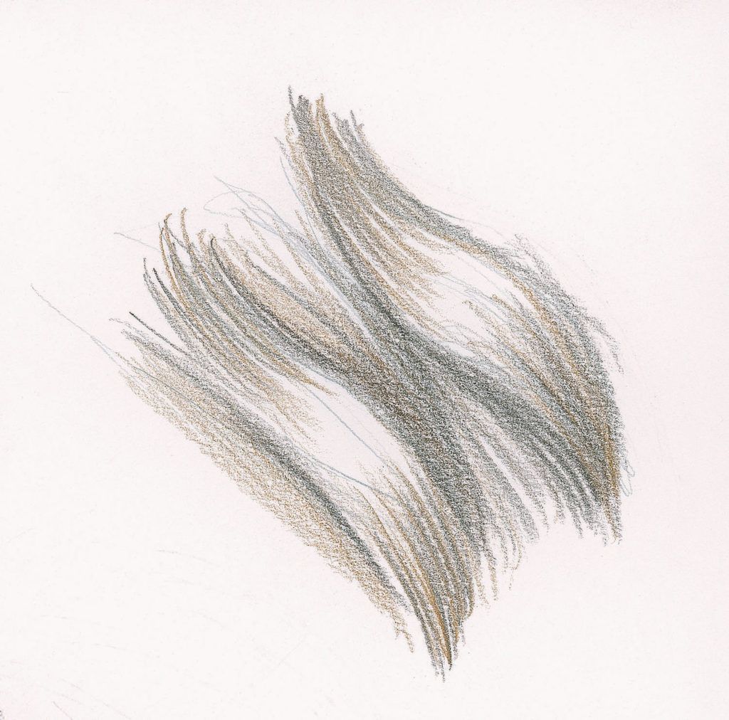 Drawing Hair for Beginners | Graphite and Colored Pencil Techniques