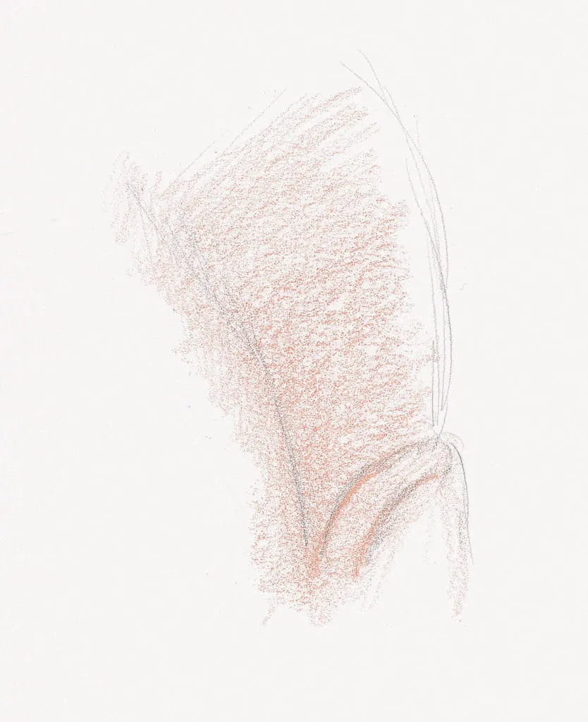 Short Curly Hair Demo, Step 1 | Lee Hammond | Drawing Hair for Beginners in Graphite and Colored Pencil | Artists Network