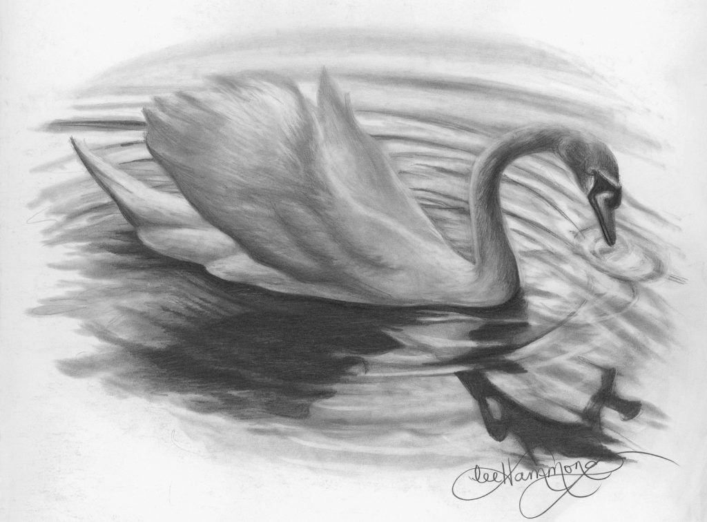 Choosing the Right Graphite Sketching & Drawing Pencil | Ken Bromley Art  Supplies