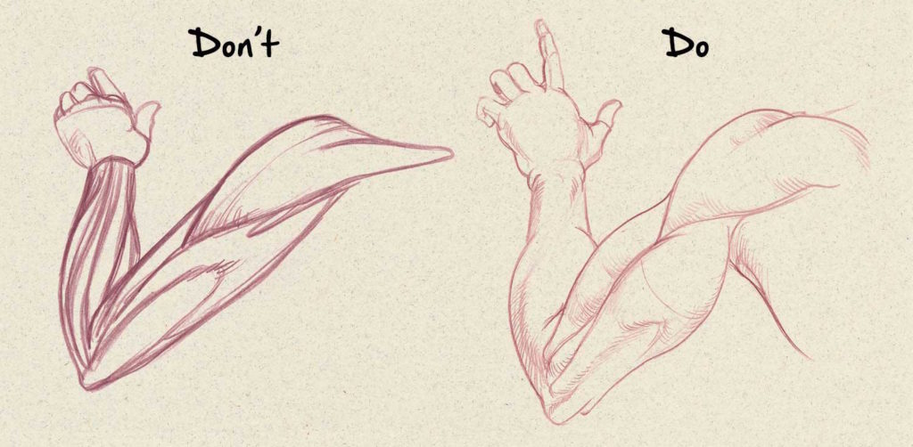 Muscles | Drawing Anatomy for Beginners: Top 5 Dos and Don'ts by Jeff Mellem | Artists Network