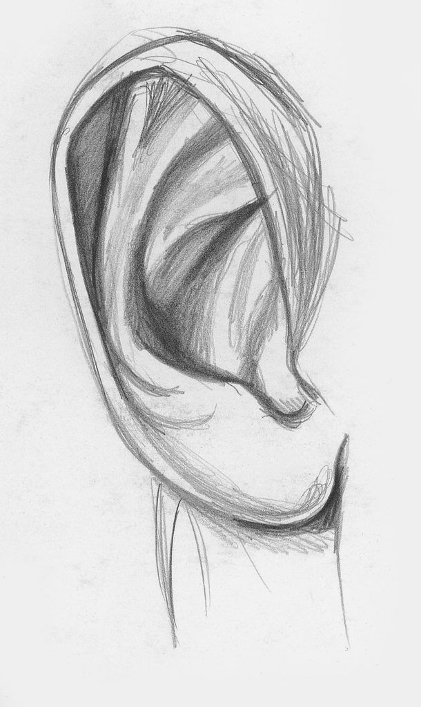 Drawing Ears Demo, Step 2 | Lee Hammond | How to Draw Facial Features for Beginners | Artists Network