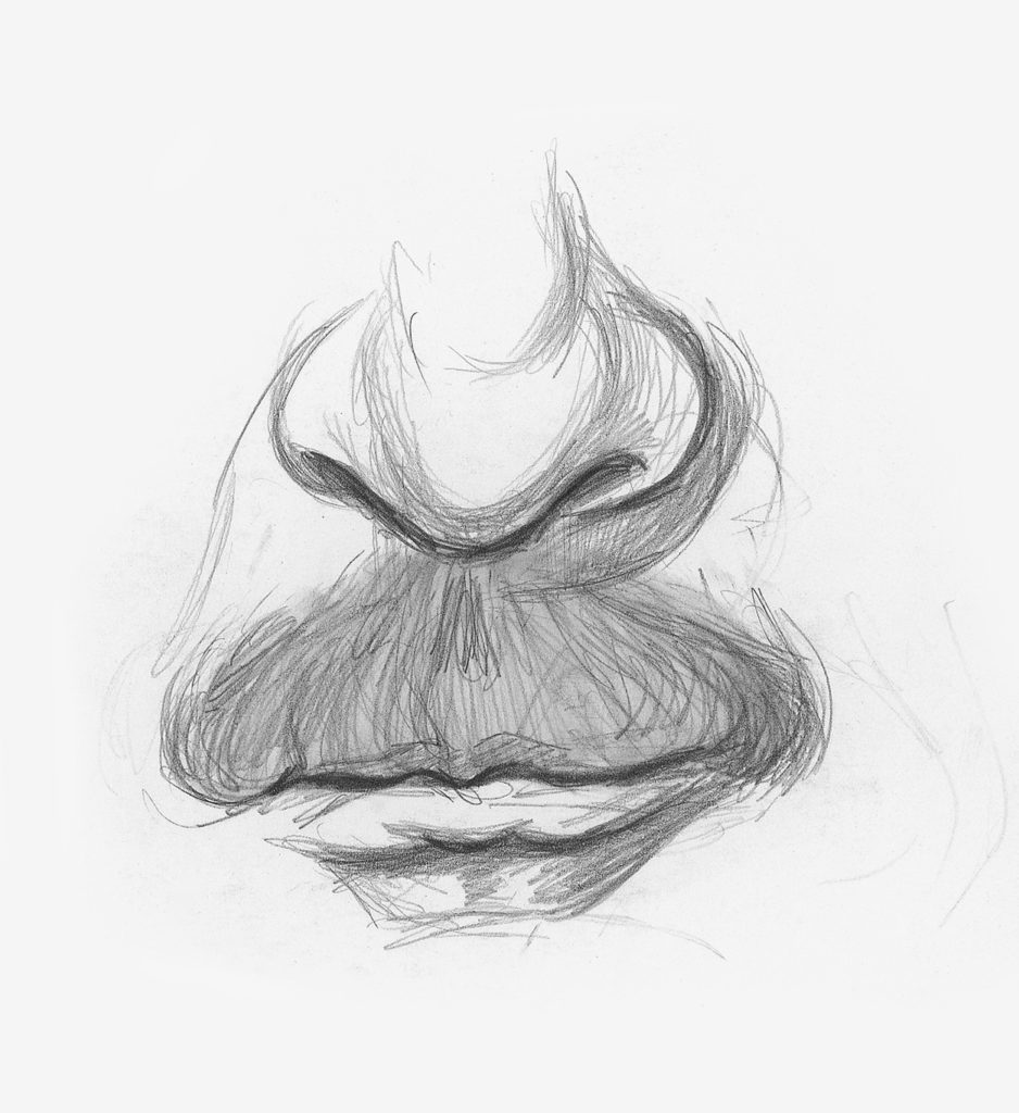 pencil mustache drawing