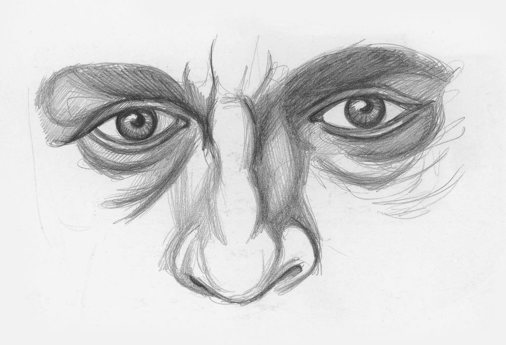 Drawing Noses and Eyes Demo, Step 2 | Lee Hammond | How to Draw Facial Features for Beginners | Artists Network