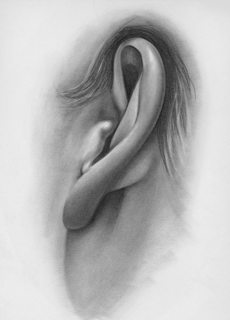 Ear study in pencil using boxes by sinarty77 on DeviantArt