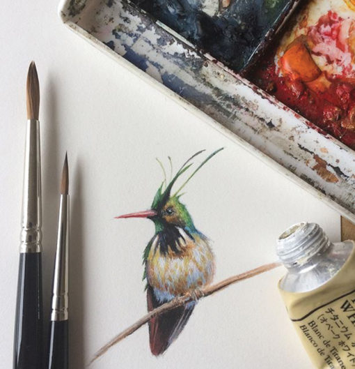 Miniature Bird Paintings in Gouache by Dina Brodsky Are a Global Hit