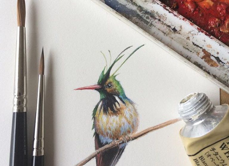 Miniature Bird Paintings in Gouache by Dina Brodsky Are a Global Hit