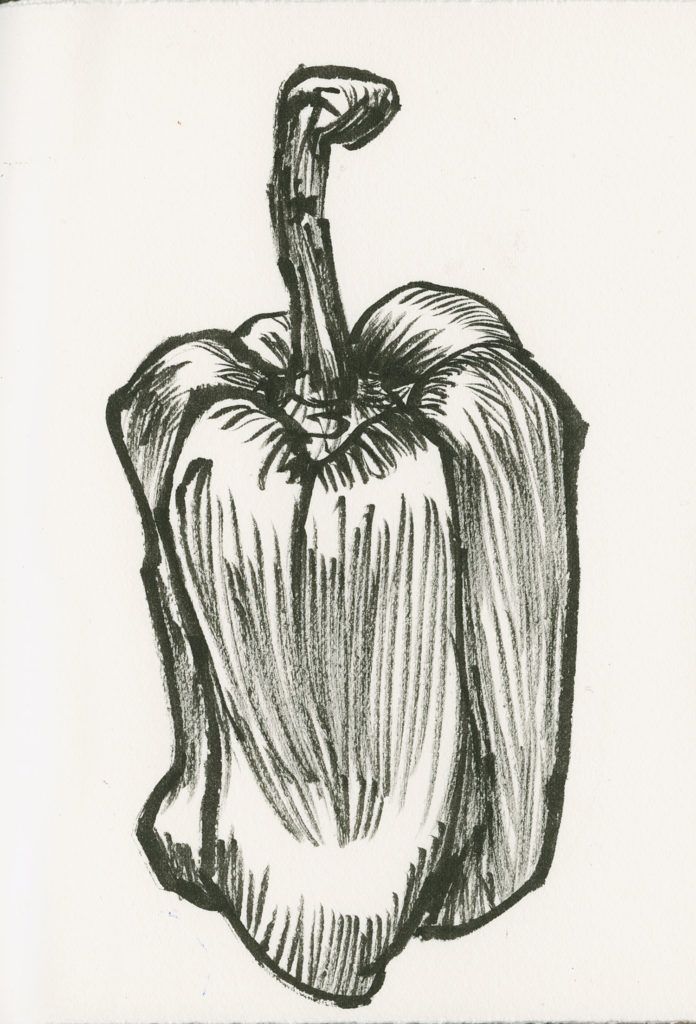 Peppers art sketch by Roz Stendahl