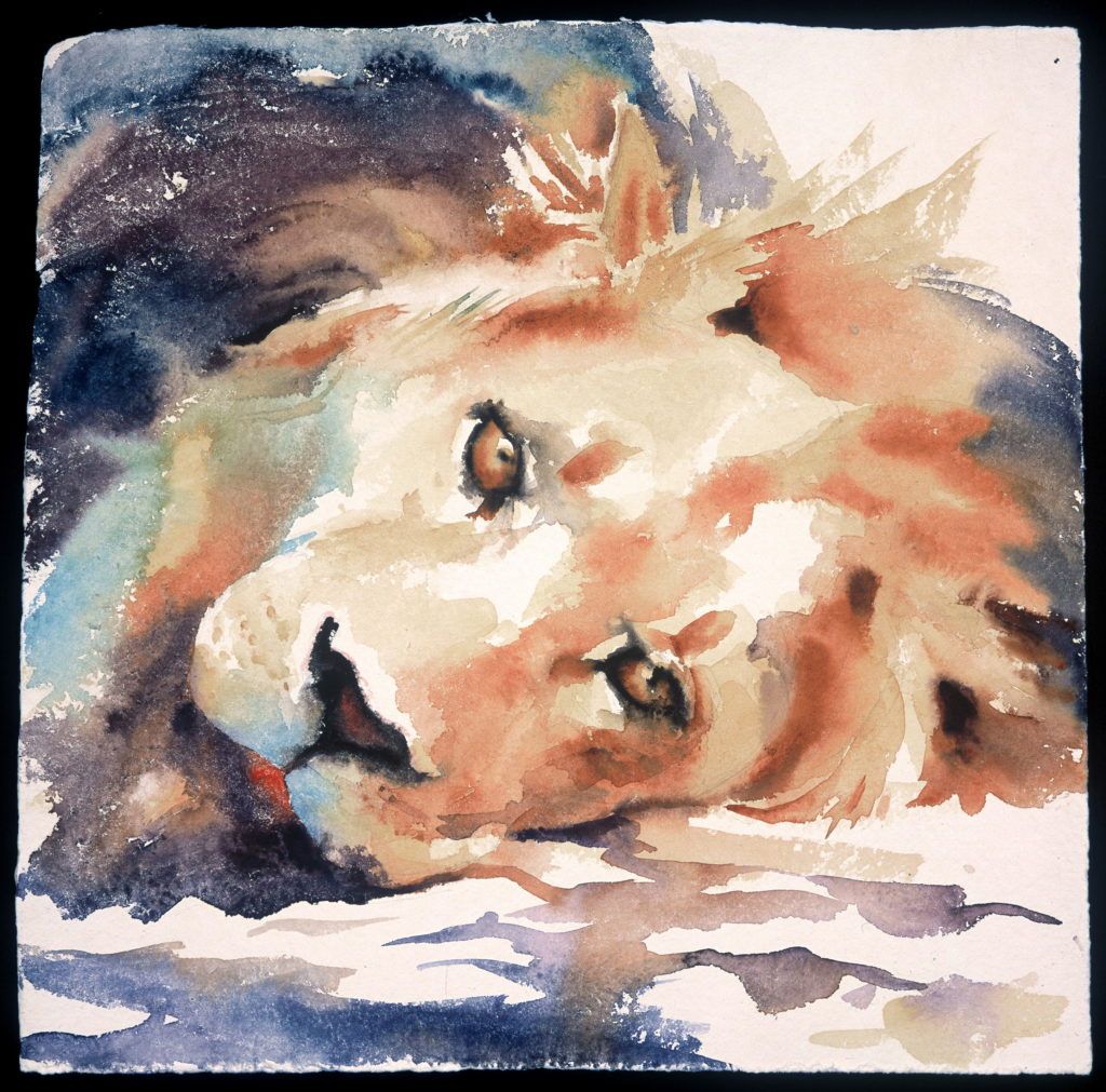 Lions, Tigers and Bears, Oh My   Paint and Sketch Stunning ...